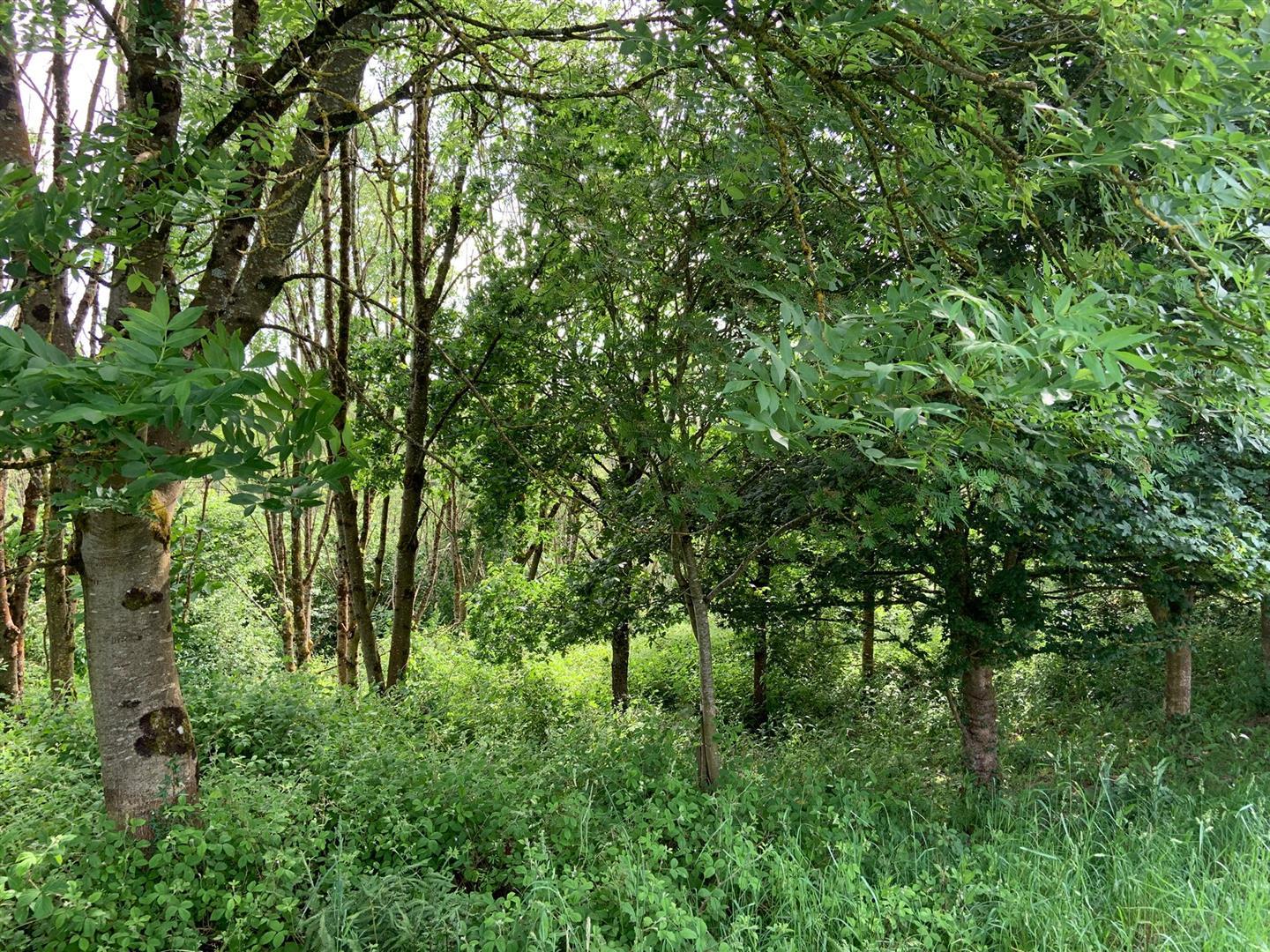 Property Image 386df2c5-eb9d-4a61-aad7-19ae0e4d3f26
