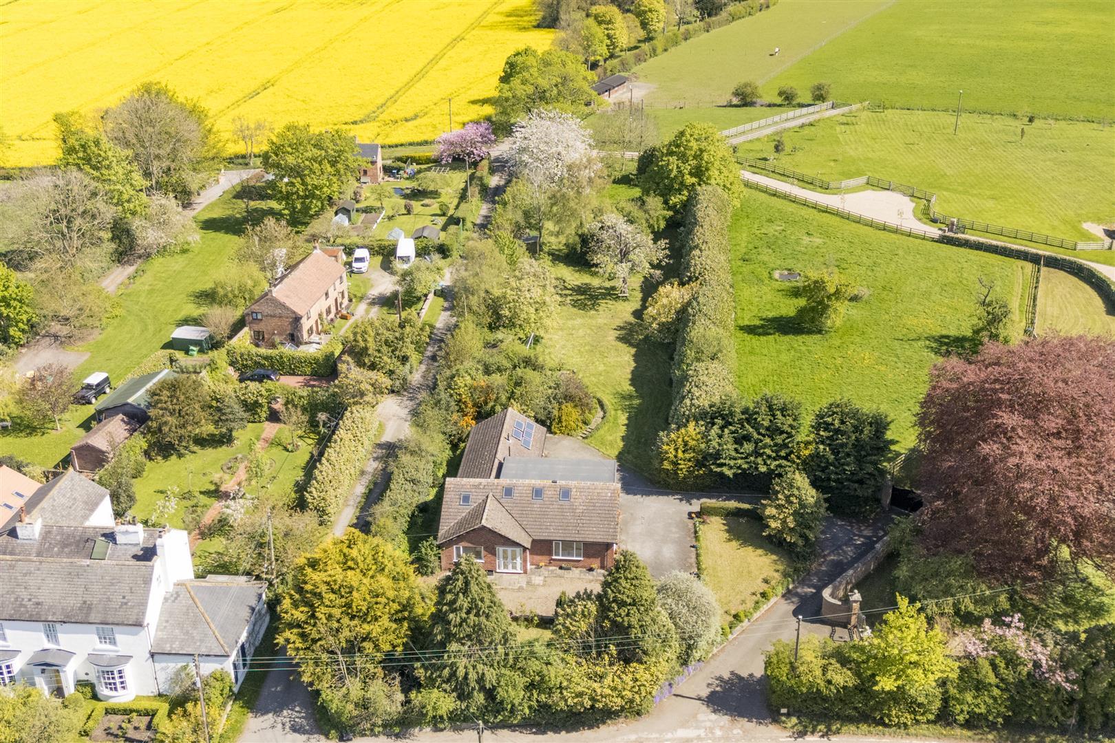 Image 25