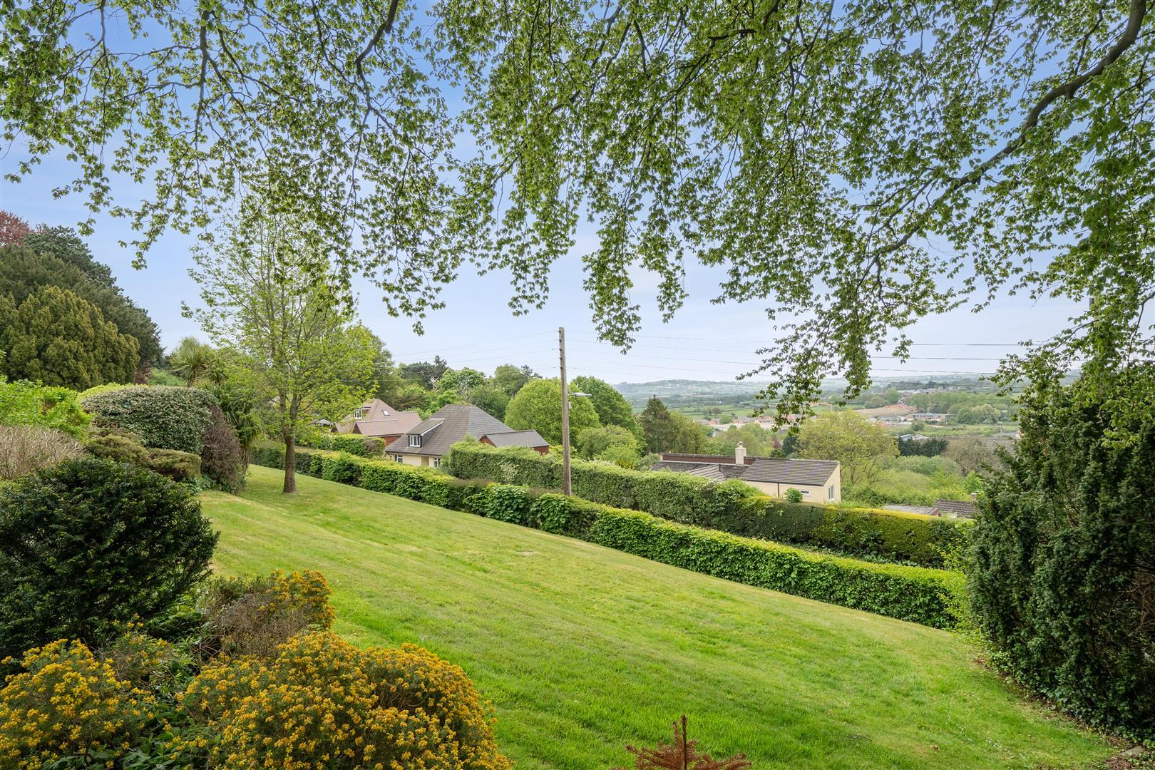 Property Image 38a06cfe-43aa-4ef9-b135-39fd016f2f01