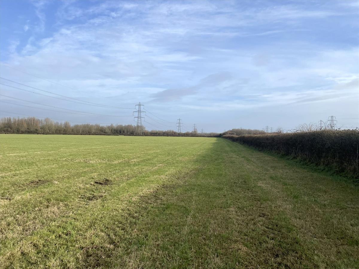 Property Image 38db99dd-a37e-4927-98cc-8203c98cc4c7