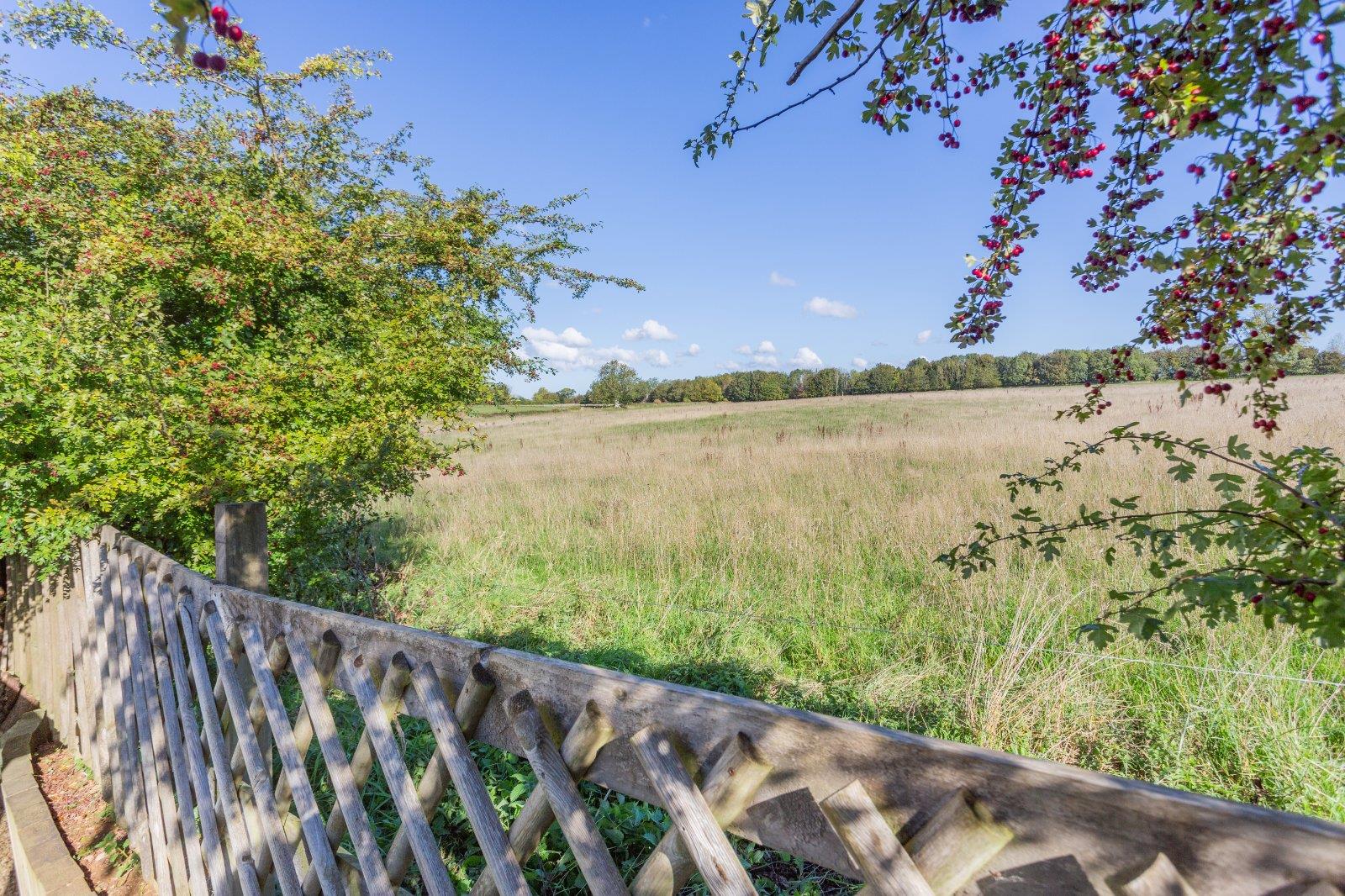 Property Image 38e972e5-45c8-4e0e-aace-f8d91c7fb26e