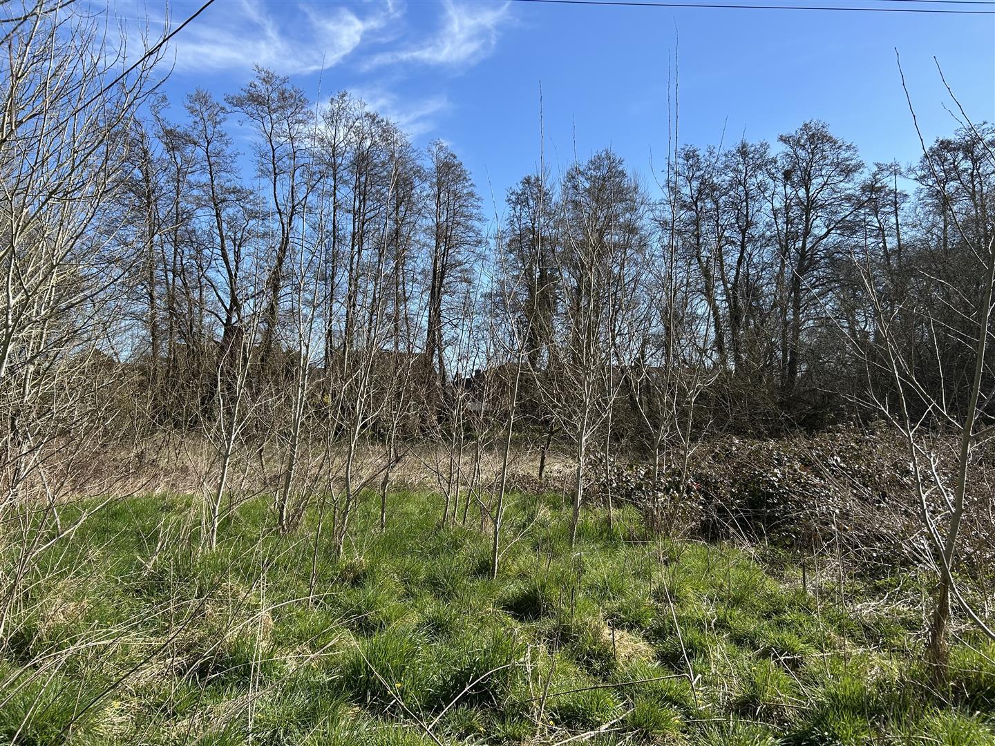 Property Image 38ecbd7f-87b9-42dc-a626-91dc8b223510