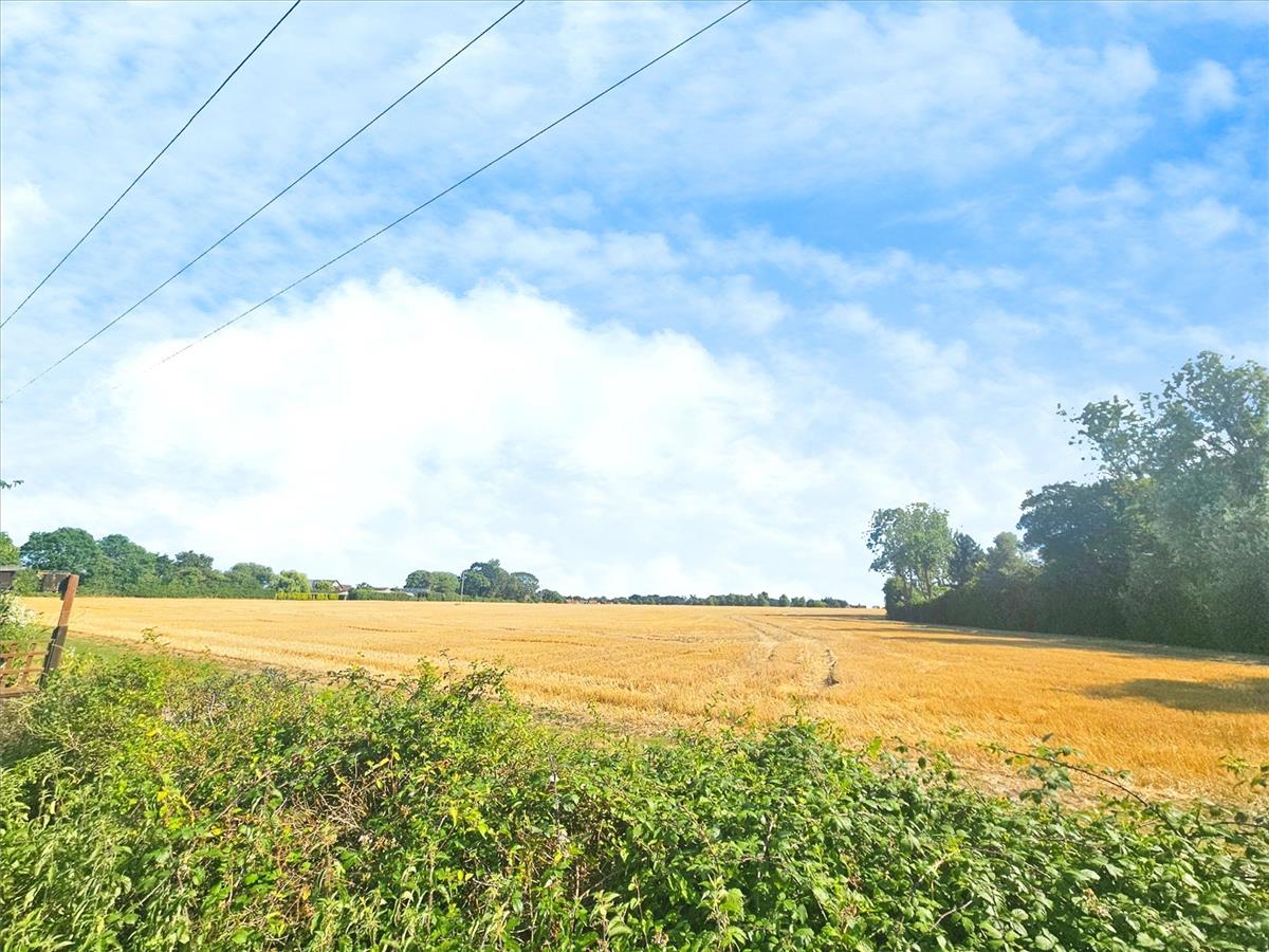 Property Image 394c1442-e696-49c6-a5e4-803e3d8eb02d
