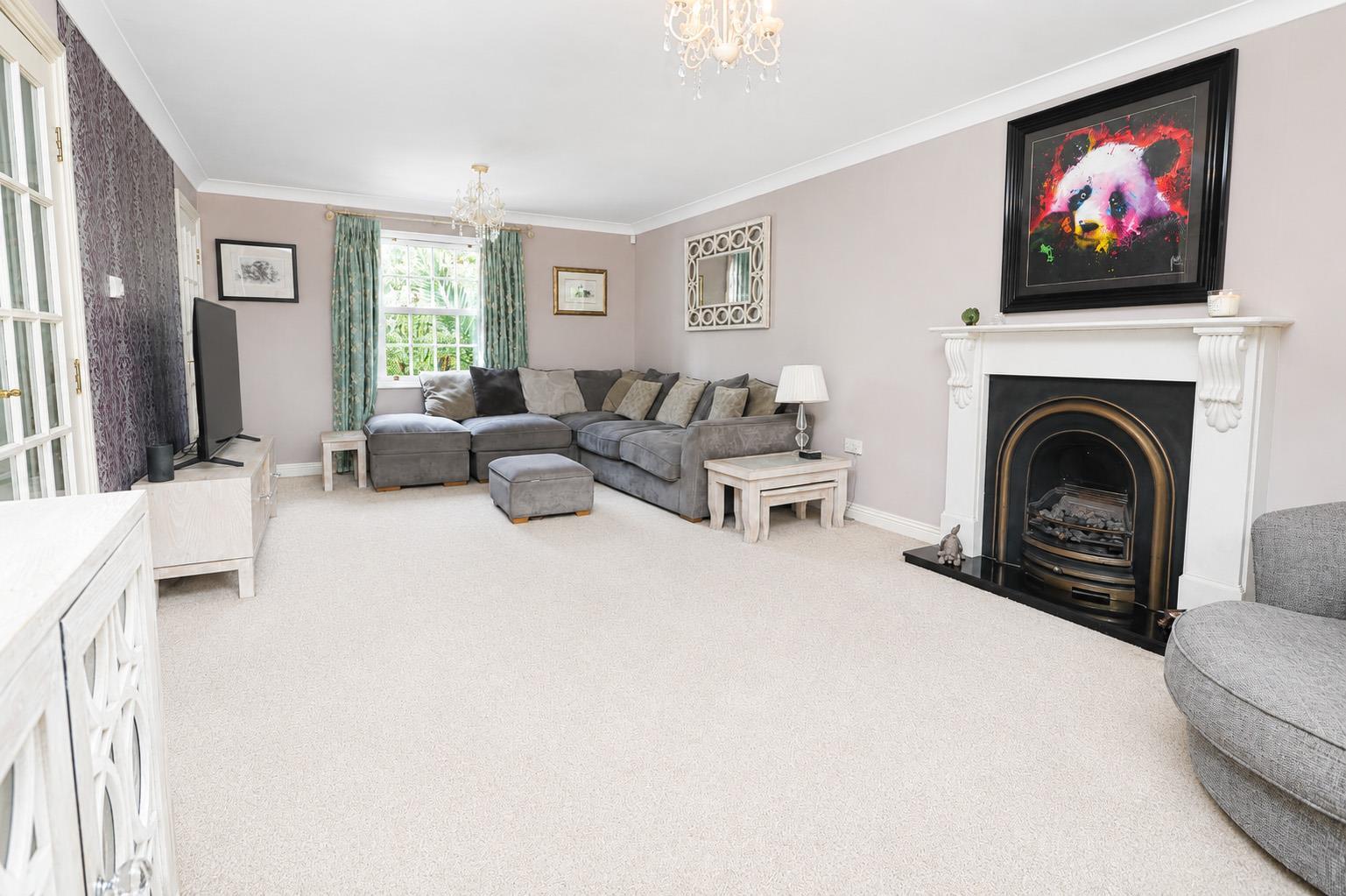 Property Image 39514392-847e-4758-9f7c-b1997ed671d5