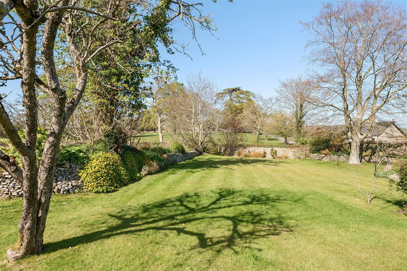 Property Image 396c7e60-e995-4fbd-be6c-8b10166d52dc