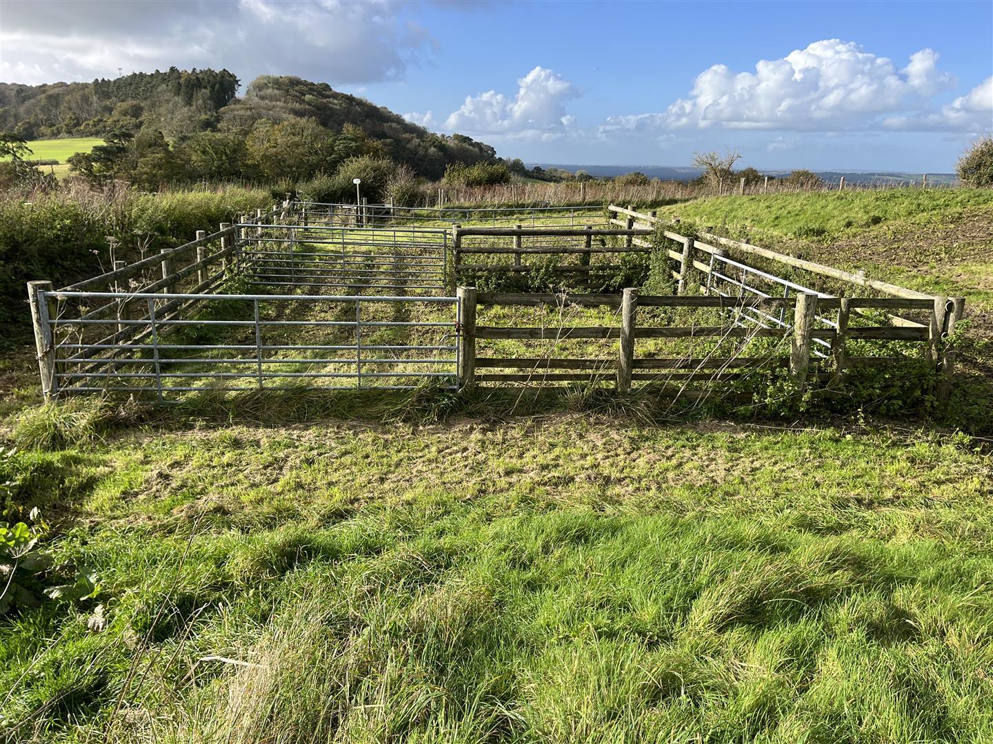 Property Image 39850b0b-11d3-4508-bc2a-3ad62420ea8f