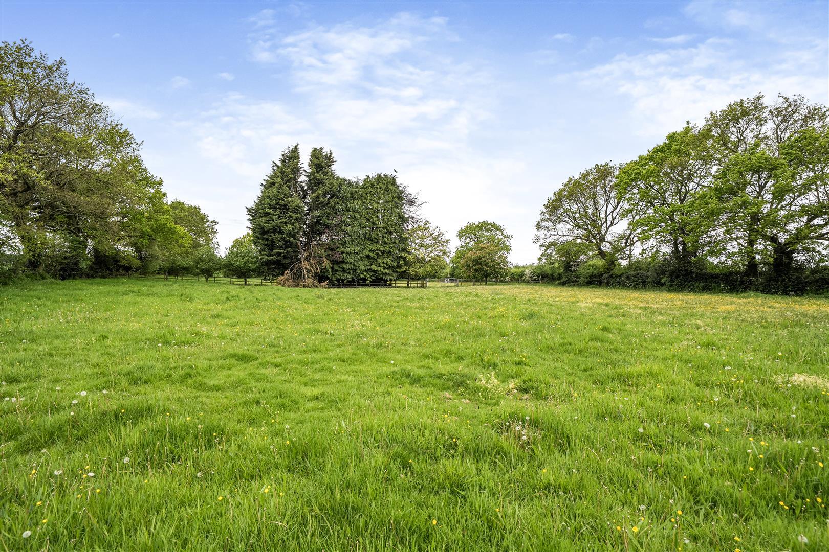 Property Image 399e75a7-60b0-40a8-977a-c2ef09786e33