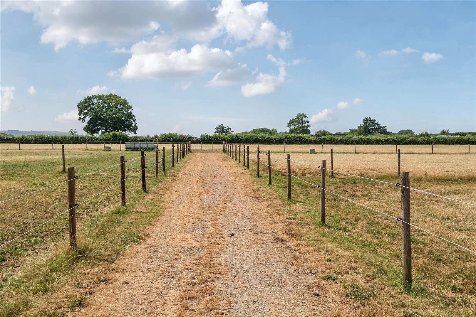 Property Image 399f0cb8-aa9b-46dd-a9c3-9abe2bce9bf9