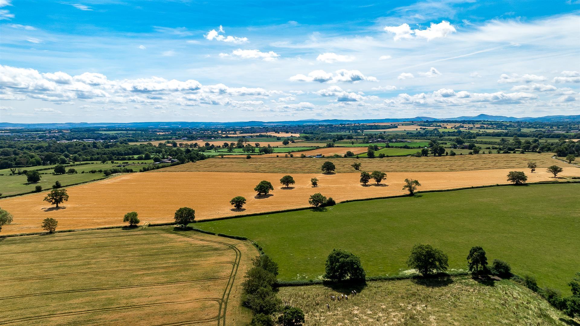 Property Image 39be3307-37a1-427d-9819-d9f51c6d0974