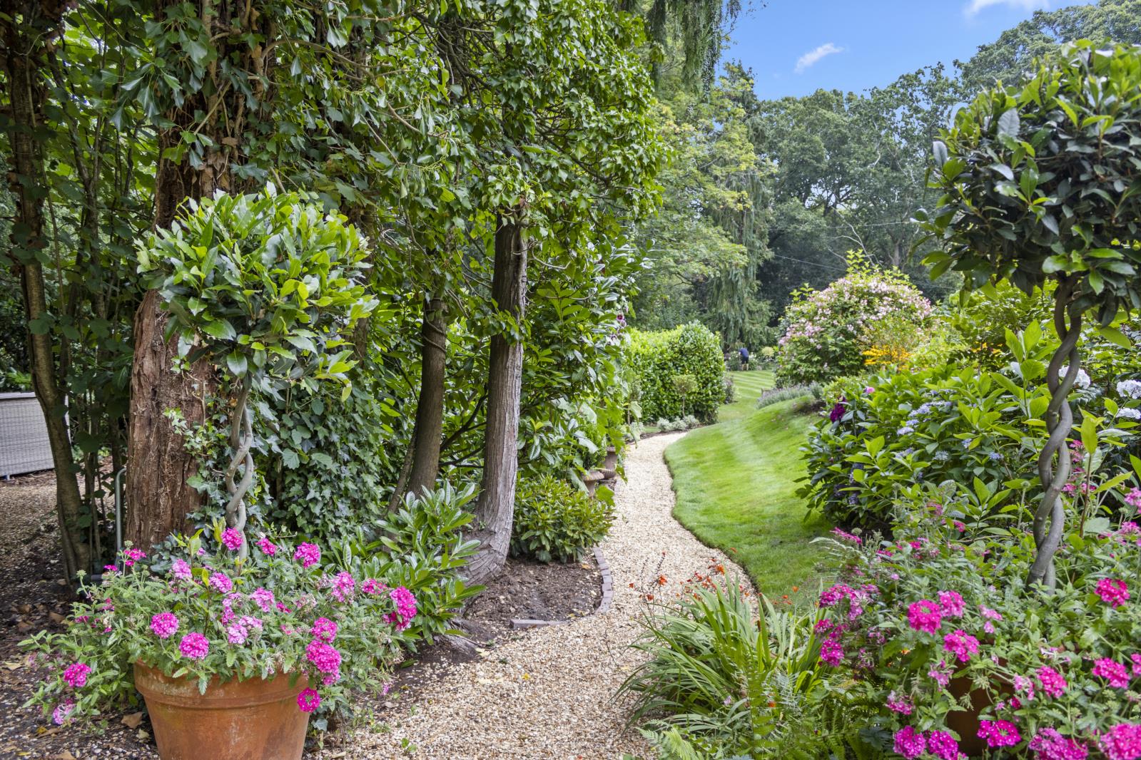 Property Image 3a279b99-b8c2-48b6-b1dc-8c874591c79e