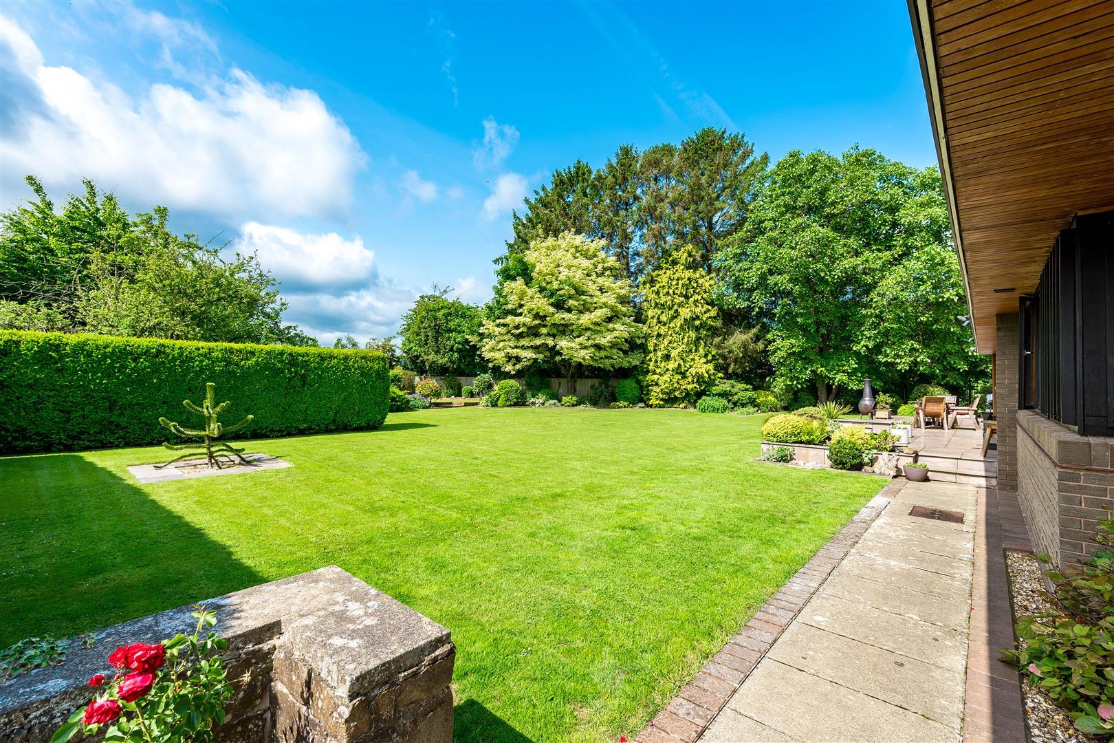 Property Image 3a2cdaf4-ee5f-4a8c-8ff6-5fce1e175ef3