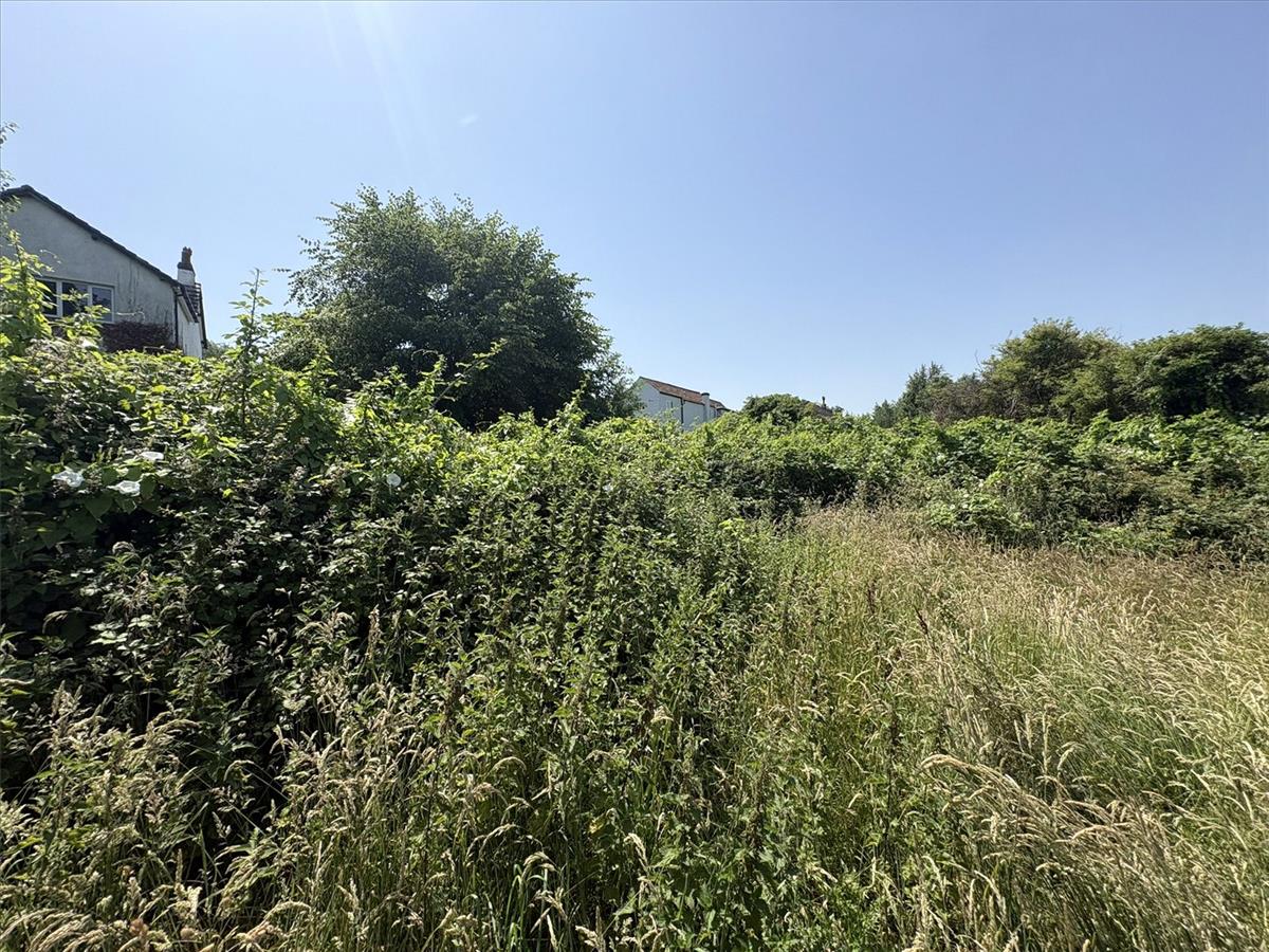 Property Image 3a36c36f-2570-4f2f-8d49-7fc5cf924566