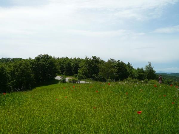 Property Image 3a6c052c-8aa1-4e63-ba6c-240a4d5230f2