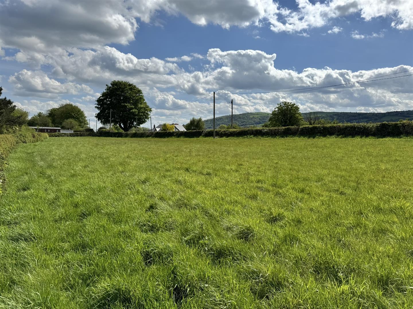 Property Image 3a704fa0-53f1-485d-b29f-9ce6f69d94ee