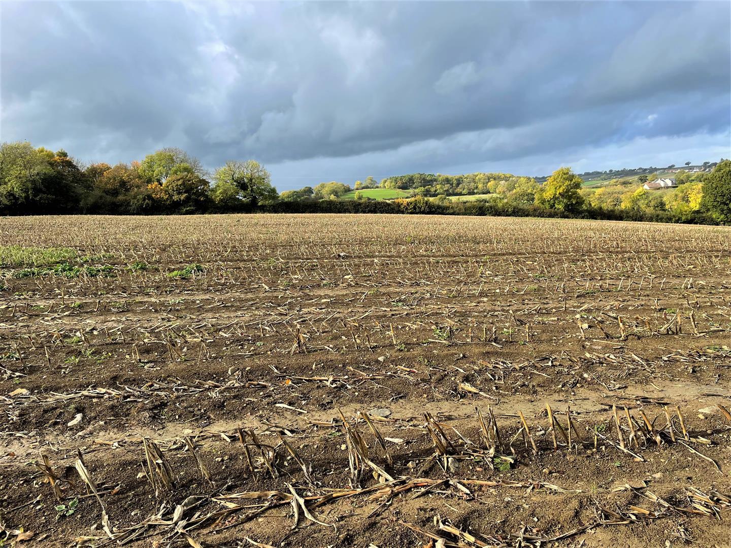 Property Image 3a76b746-75d4-4184-b6f8-f51f4411919d