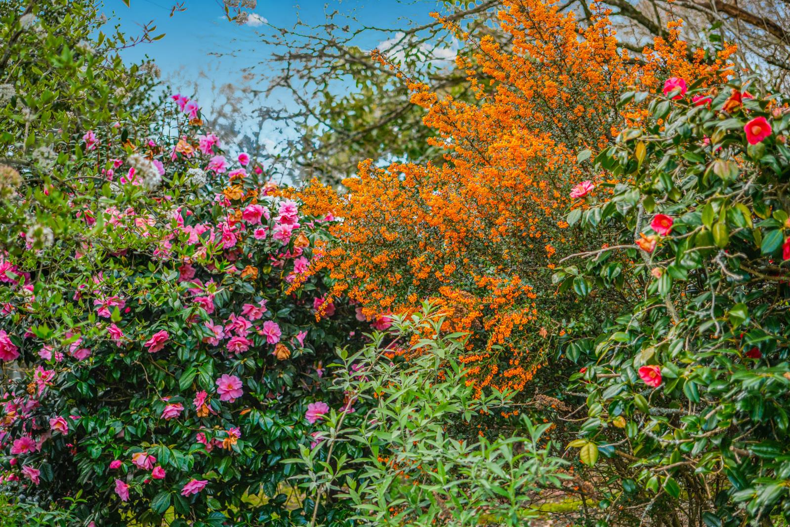Property Image 3a86d9bc-9e50-40c9-bcc5-354c92c36b4b