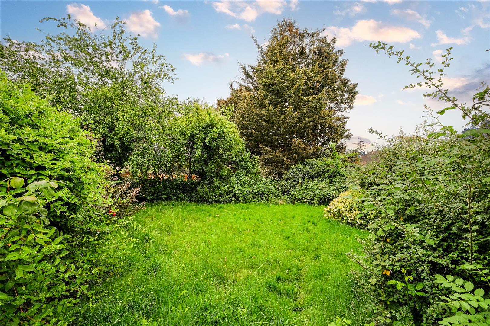 Property Image 3aa296ba-4c1a-4afa-bd85-e877cc3d6de4