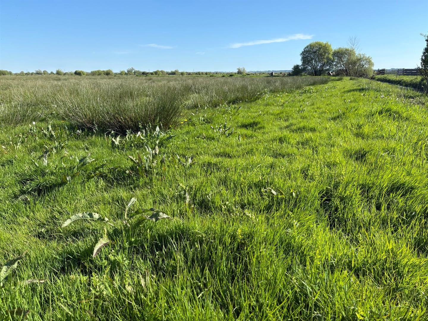 Property Image 3ab18b82-17e2-45c2-81da-a00417726e9b