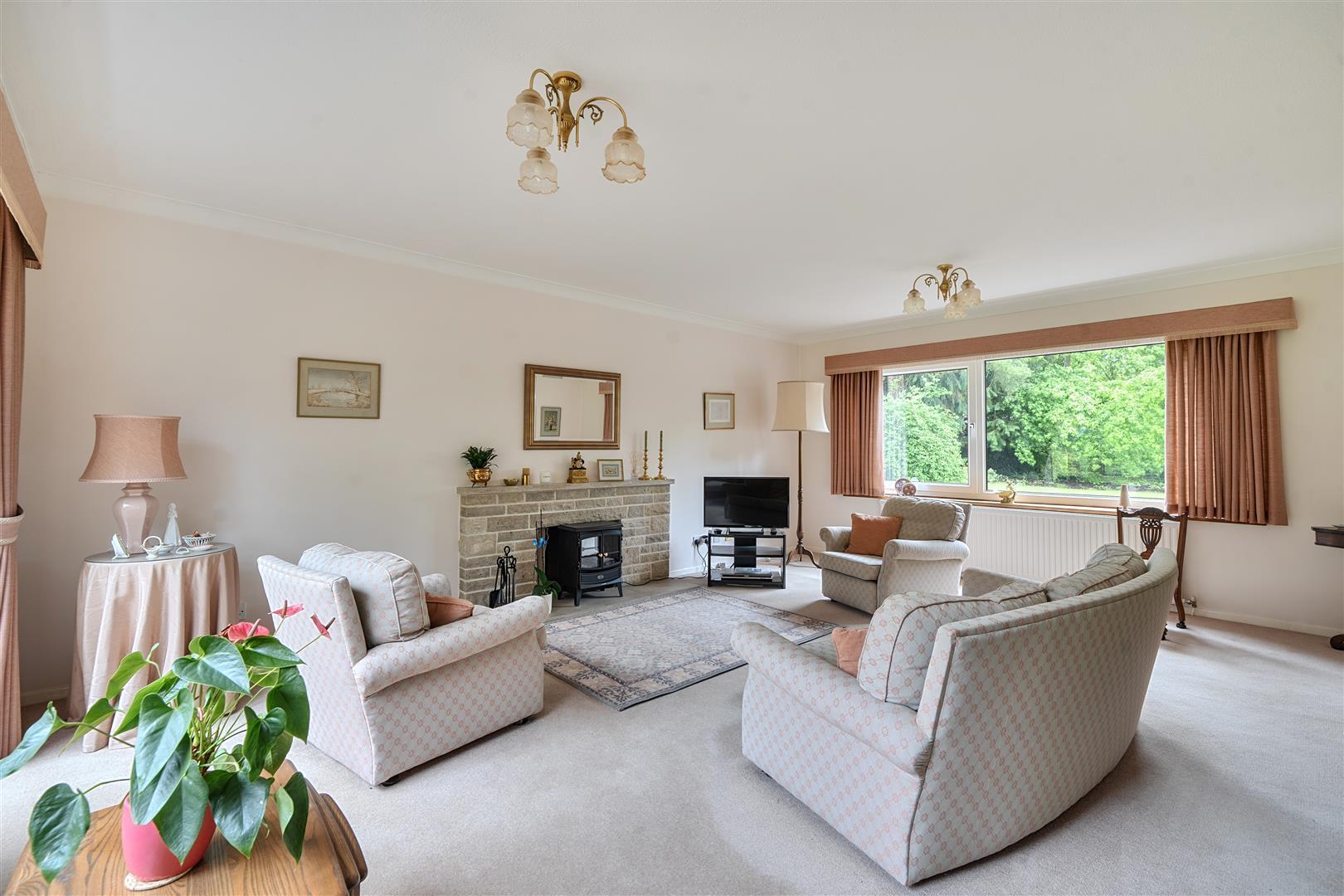 Property Image 3af7a9bc-63f1-475a-97d9-e24aeb850739