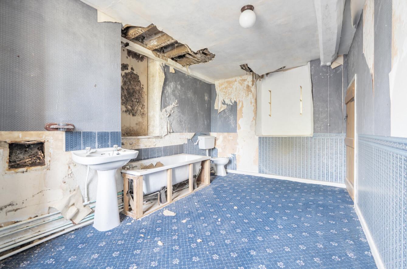 Property Image 3b0f54c2-ea24-461c-a429-e6c2c065dcda