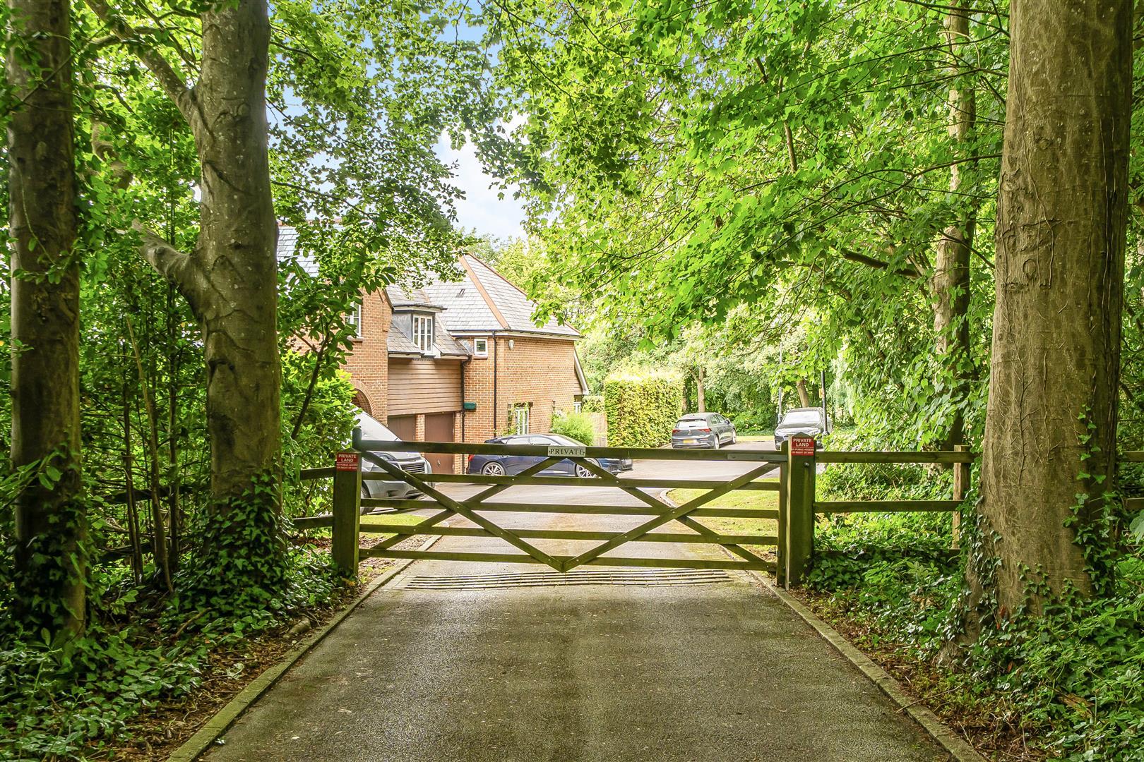 Property Image 3b6115cf-1d6a-468e-bf28-1dc5cc0e64c5