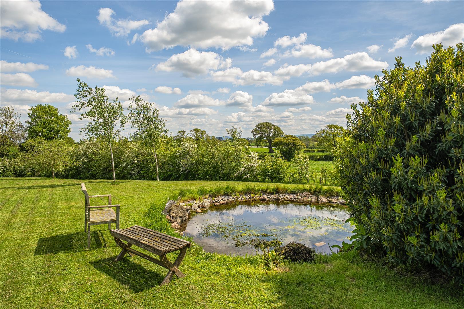 Property Image 3b86cf89-ef18-4493-818b-b4d71b783ac9
