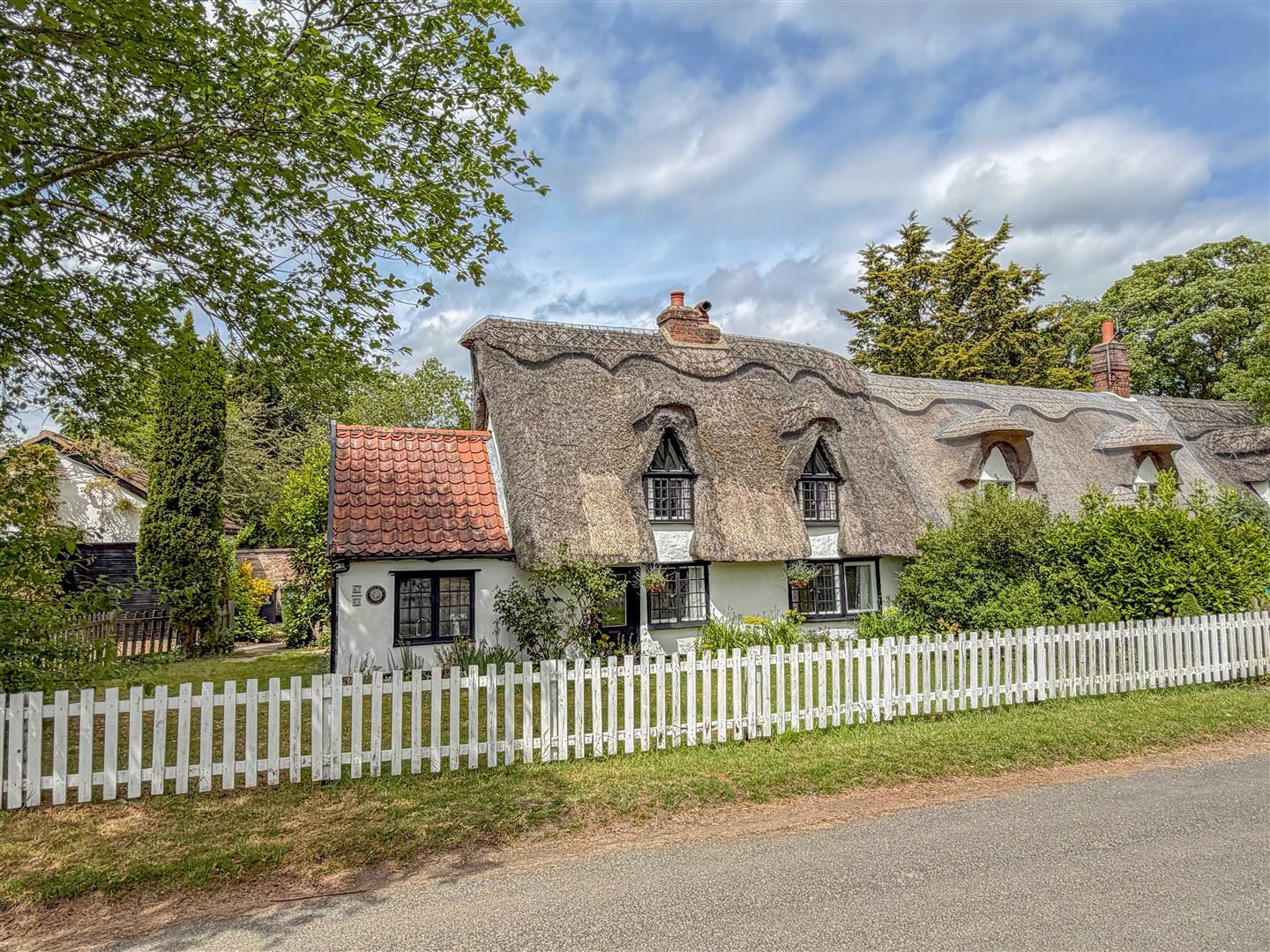Image 15