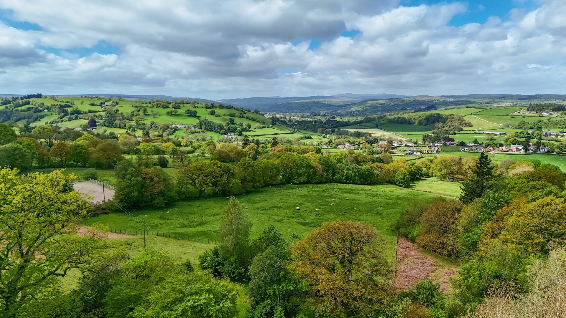Property Image 3ba4c099-18c7-4027-ae53-87e3a6821962