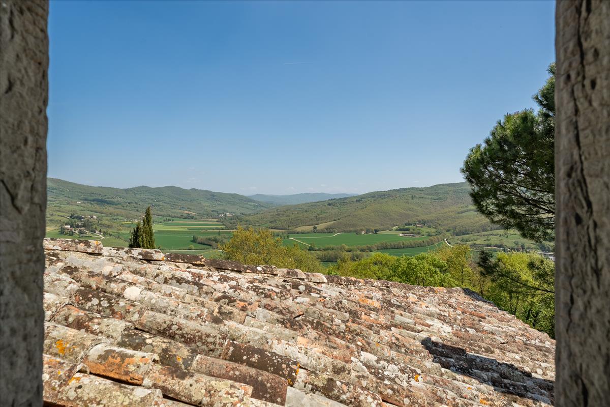 Property Image 3bbe5382-3dea-43c5-a20d-2a7c04890cd0