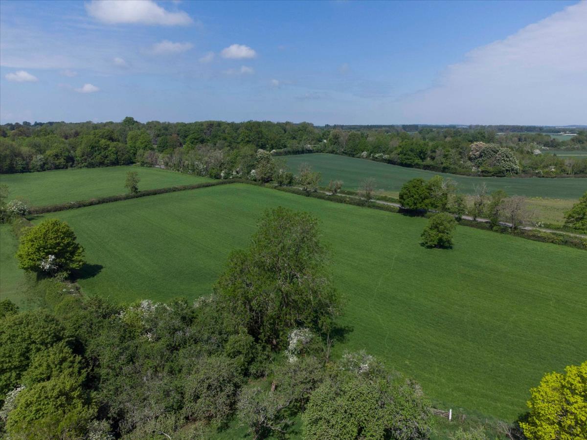 Property Image 3bdc268d-da58-4a19-b868-f8f7cc62986a