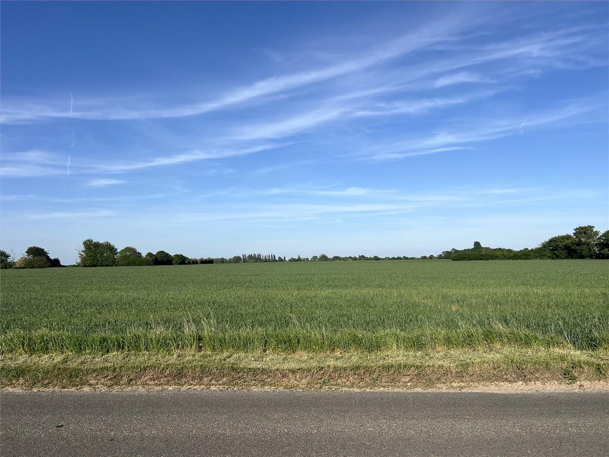 Property Image 3c76b428-c77a-435d-89ea-d00ea4a0e5ed