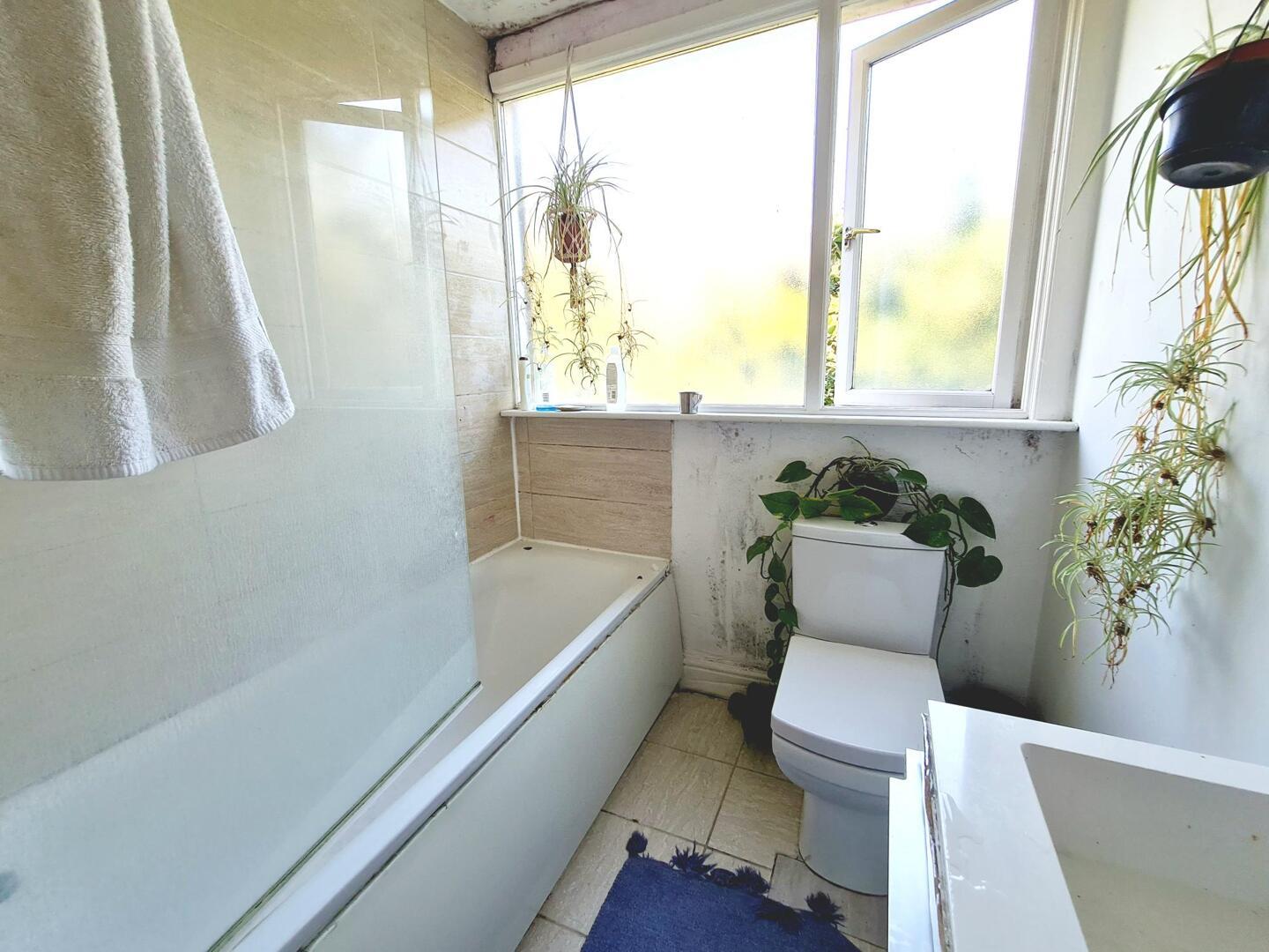 Property Image 3c79429f-83d7-4015-a70f-b2288644f592