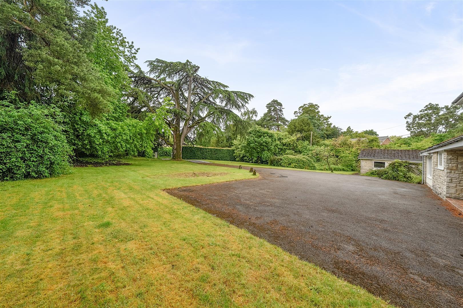 Property Image 3c85f65c-774d-4426-a921-db05b5f2604b