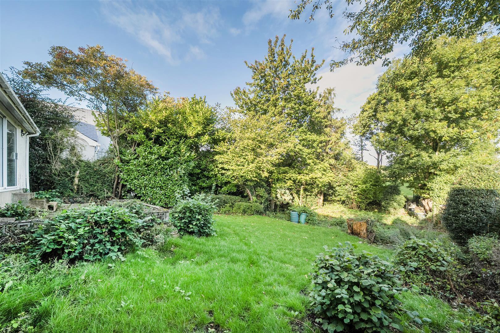 Property Image 3c8b10c5-83b7-4abe-afc2-0d9dd0cf443b