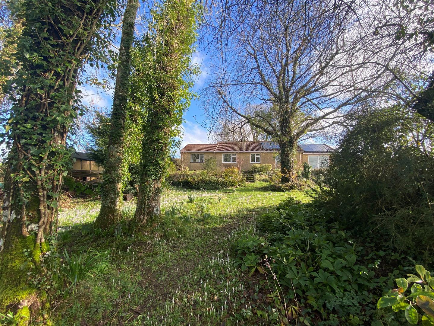Property Image 3c8cef23-98e3-47c7-9d61-4beb25c57ff3