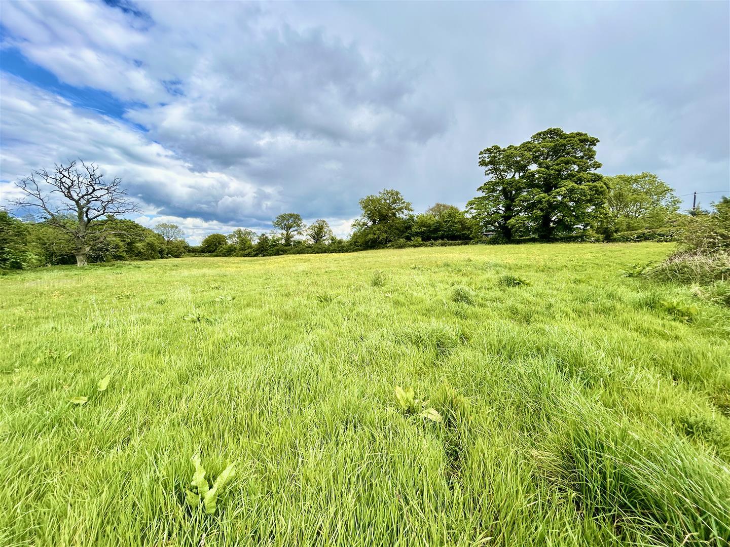 Property Image 3ca80d11-b9a2-4906-bacb-9759d330eab2