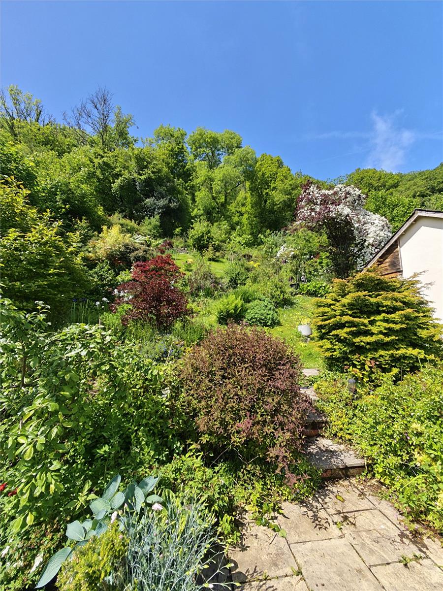 Property Image 3ce21876-fc90-4320-b6e0-0c3c61e70760