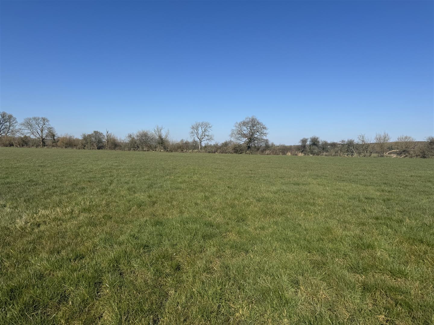 Property Image 3d0762bc-0364-47cb-83c5-f6ee3721a256