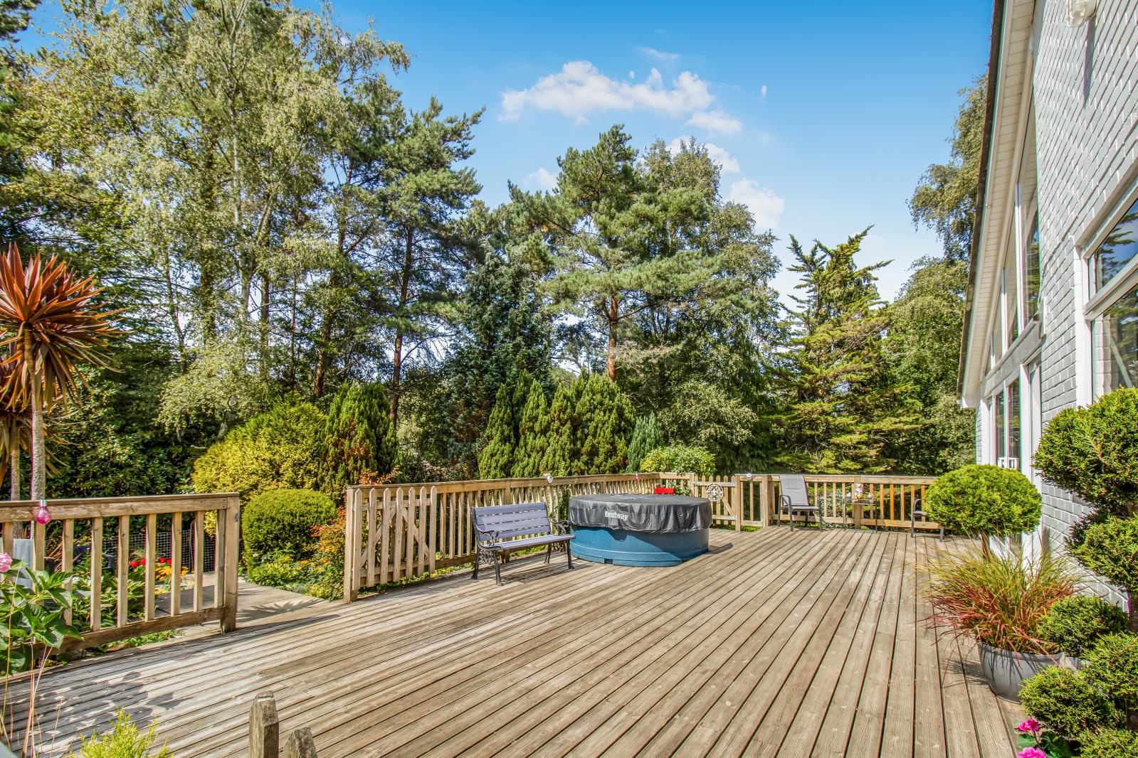 Property Image 3d1ae06d-8ceb-4ce8-adc5-f72773c0cc45
