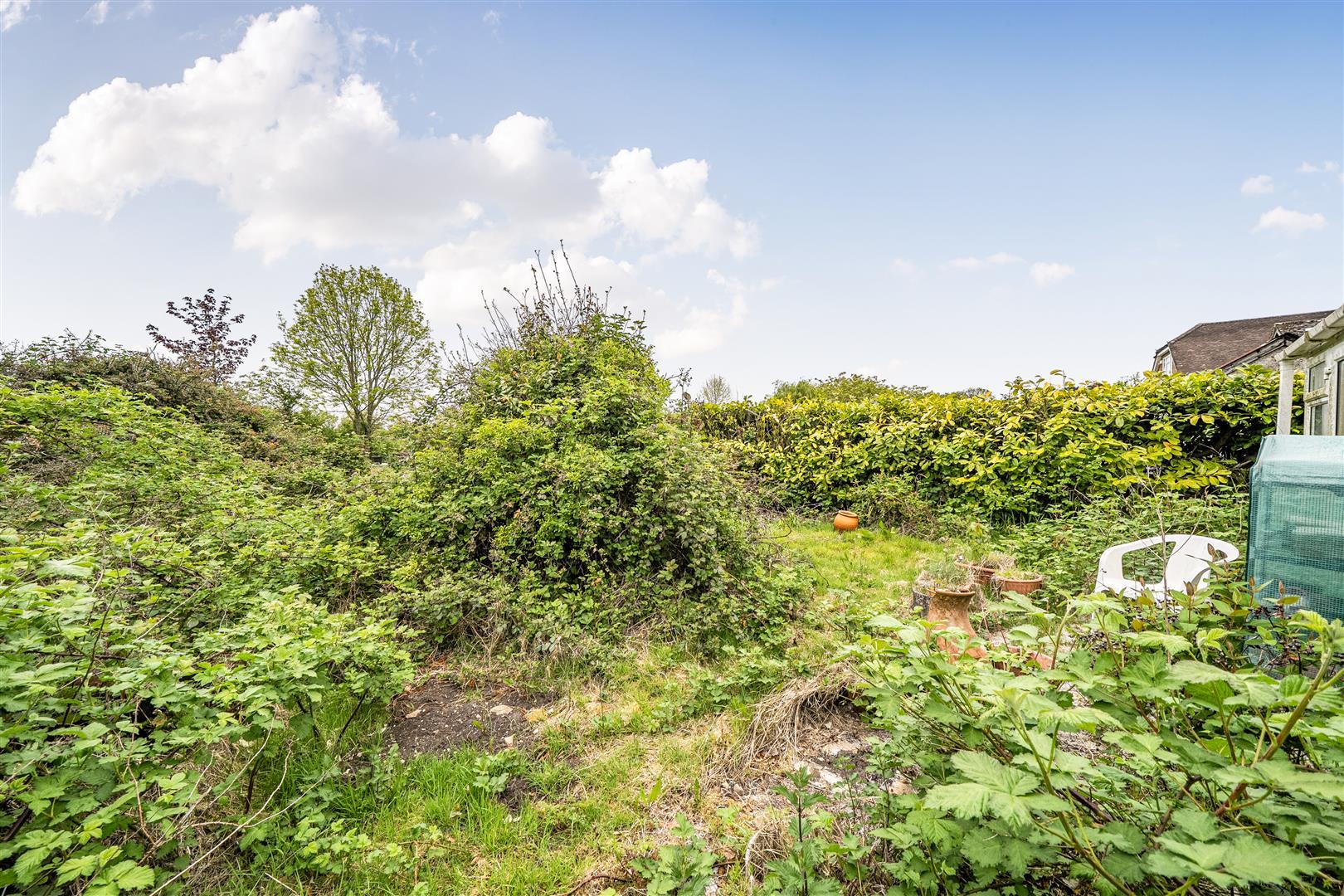 Property Image 3d25d374-3ed0-4cb0-8a0e-37672a5e5a2c