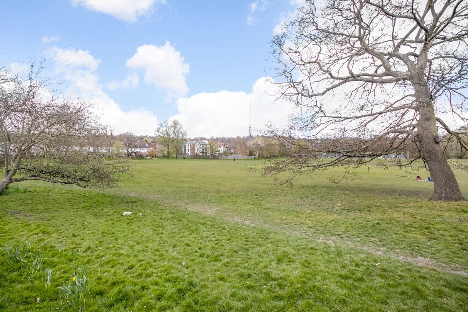 Property Image 3d284097-5995-4d82-8d31-8fae769dc440