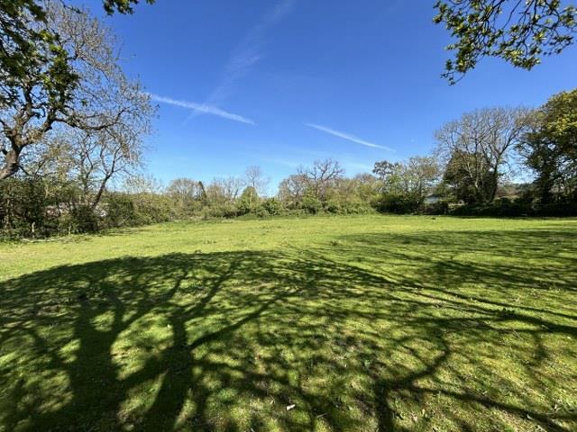 Property Image 3d41b011-e1c4-4987-8f04-1bebf355953c