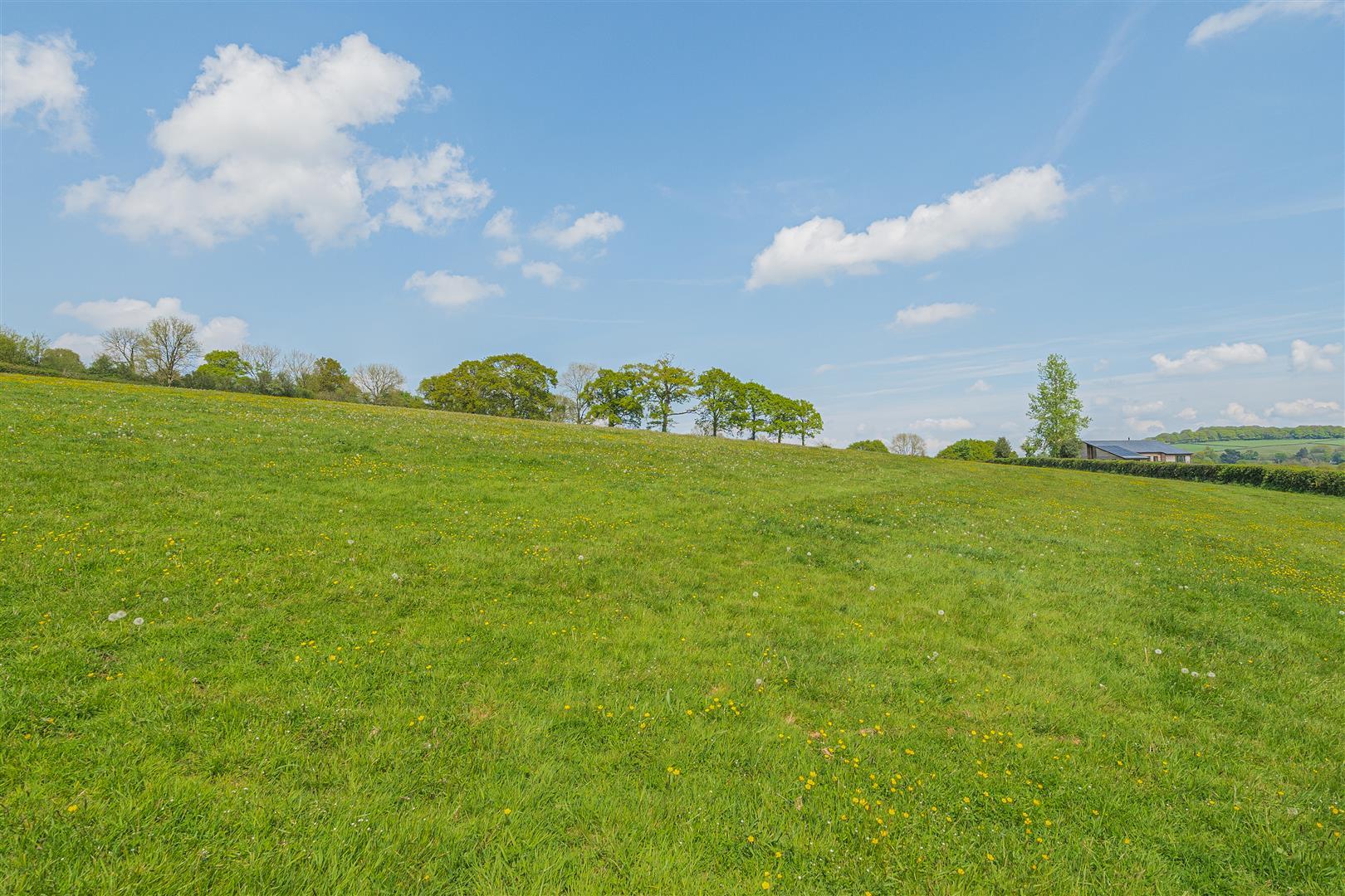 Property Image 3d76a0d8-9b79-4e73-8d93-126545898f68