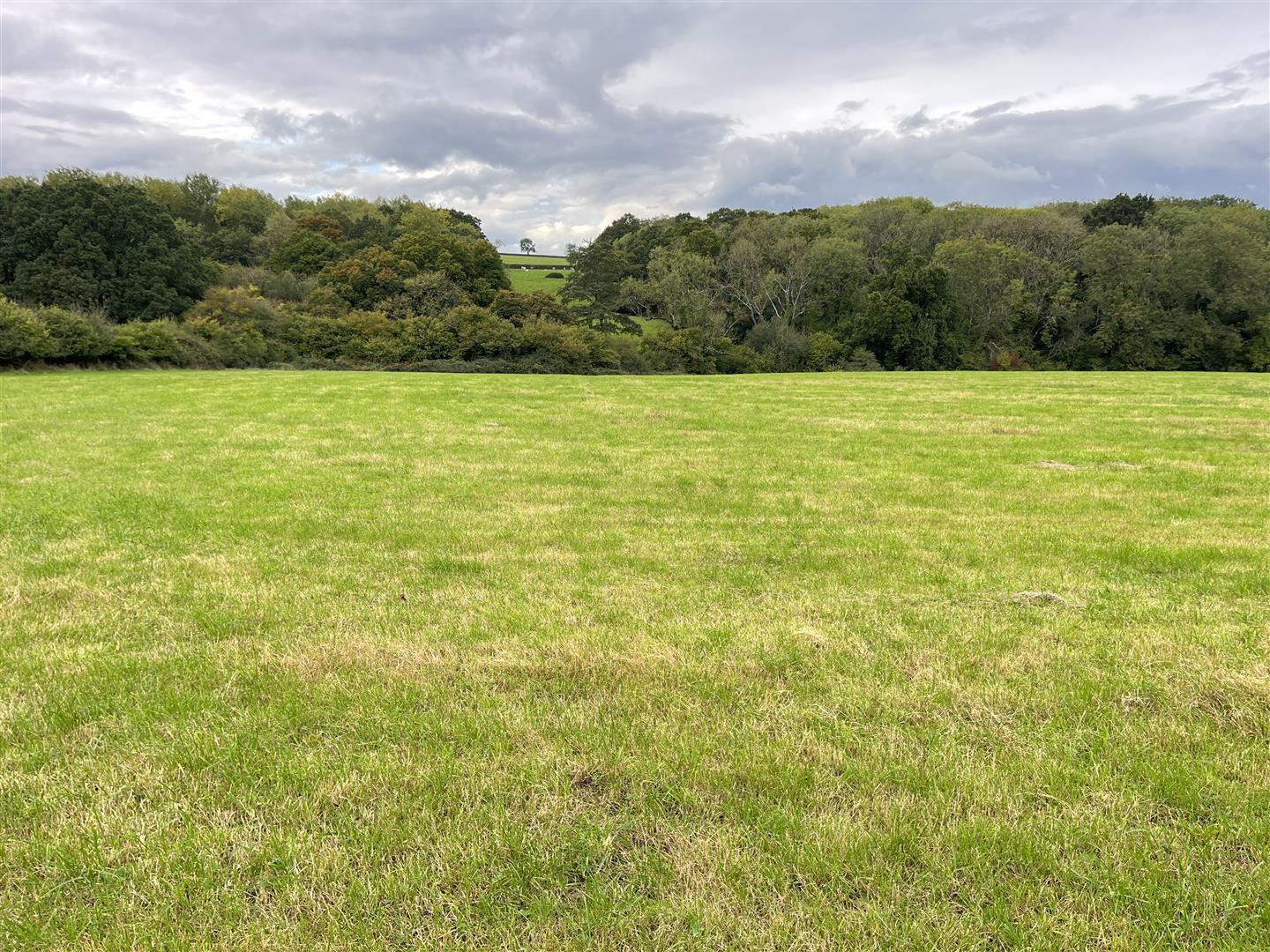 Property Image 3d94eeeb-ea26-44b0-9acc-31b4dcfabb7f