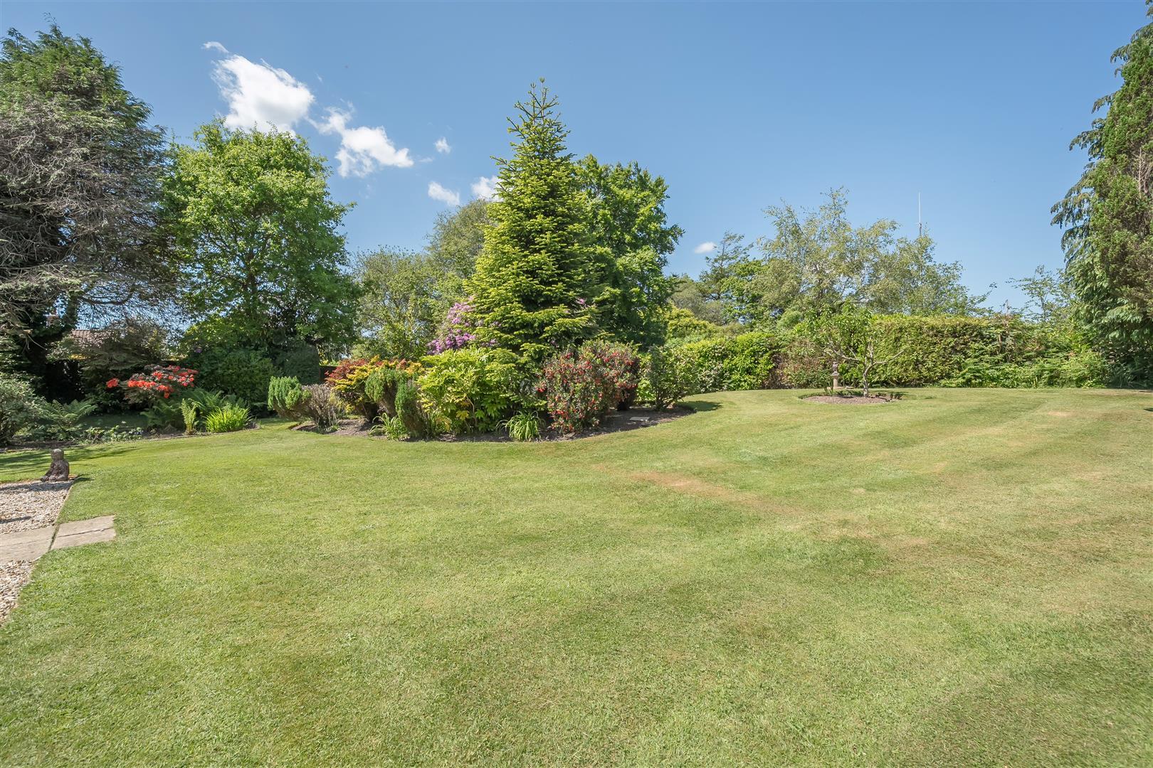 Property Image 3dbfd1b1-9ec8-4821-b648-b065c6051cf0