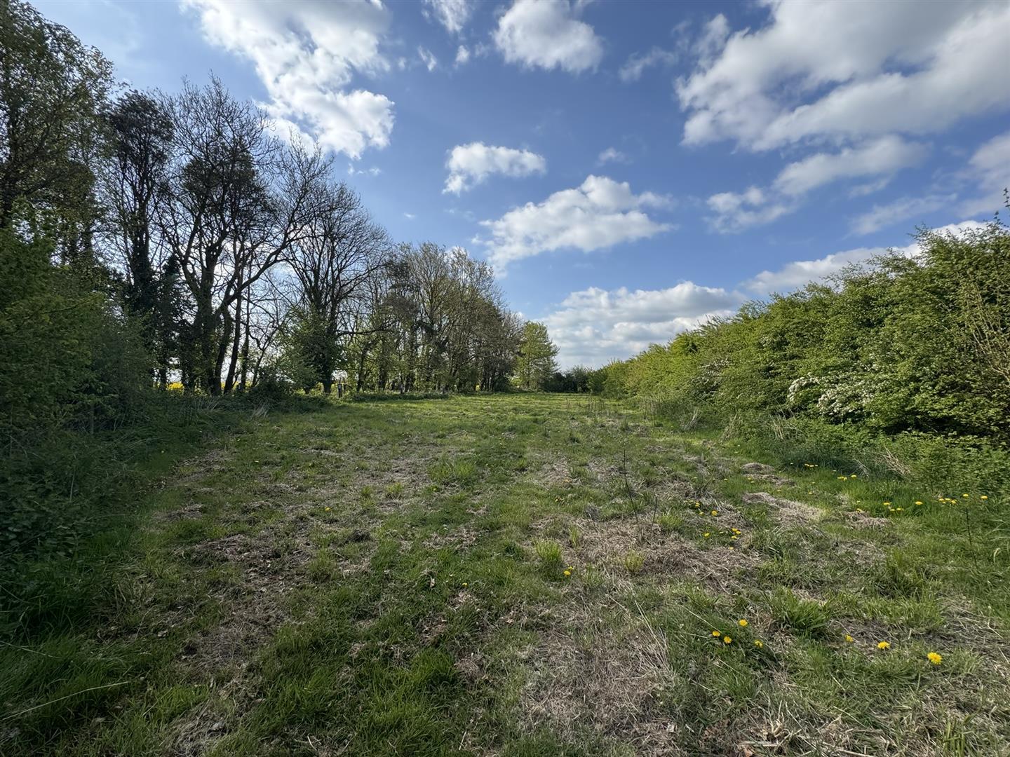 Image 23