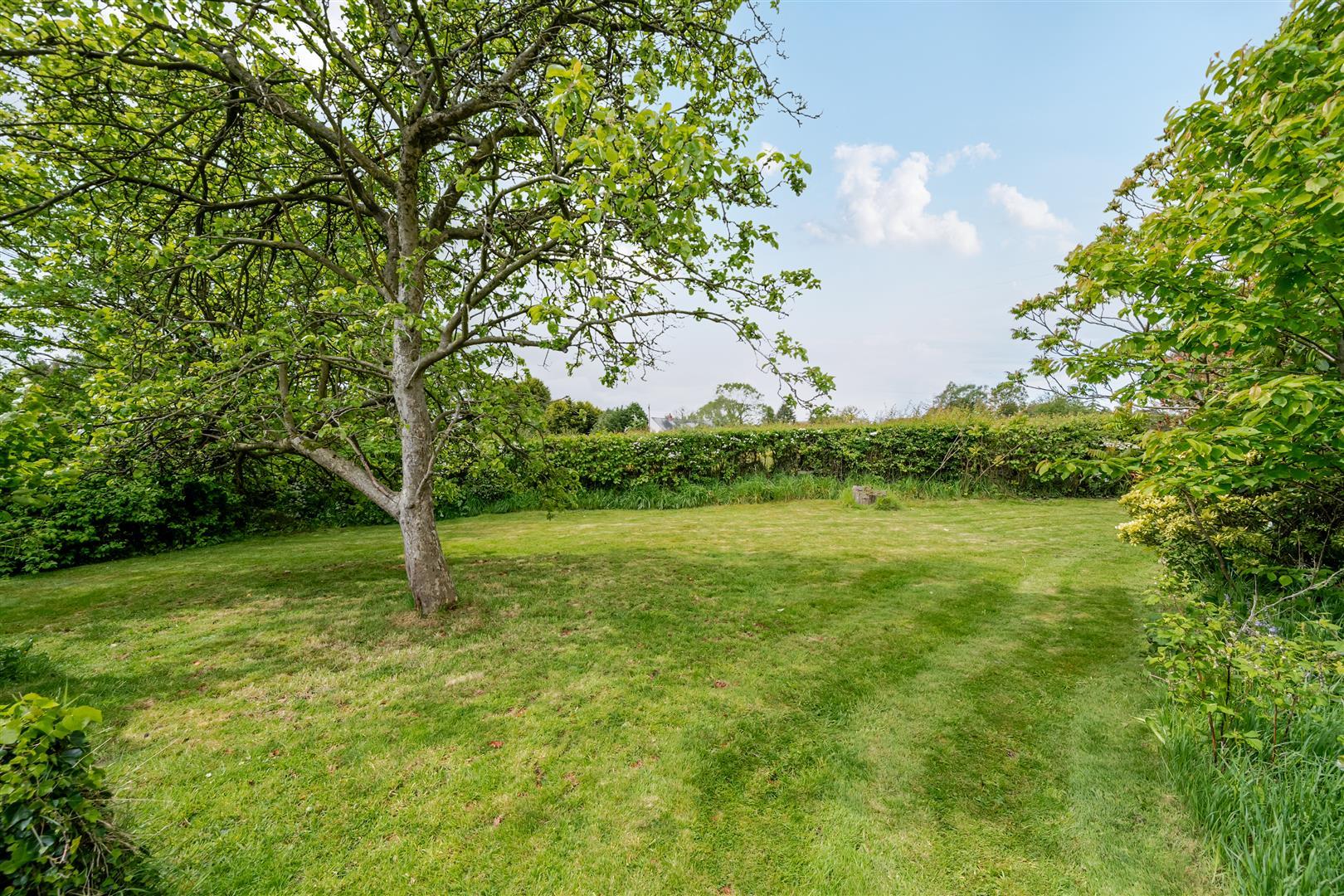 Property Image 3e0e512f-34fe-40a1-94aa-69c4aea1d597