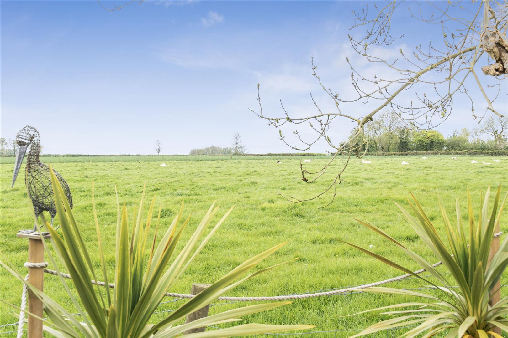 Property Image 3e2b3860-6be2-4f38-b7a4-75701dfaa192