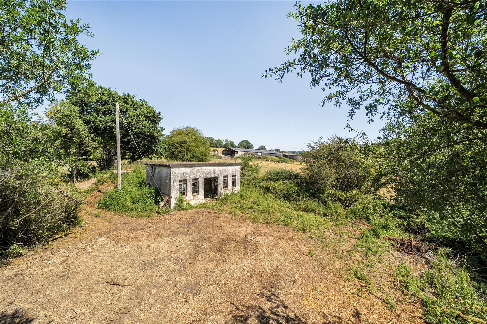 Property Image 3e2cb3d9-d284-41d9-8328-7295e52dd1f2