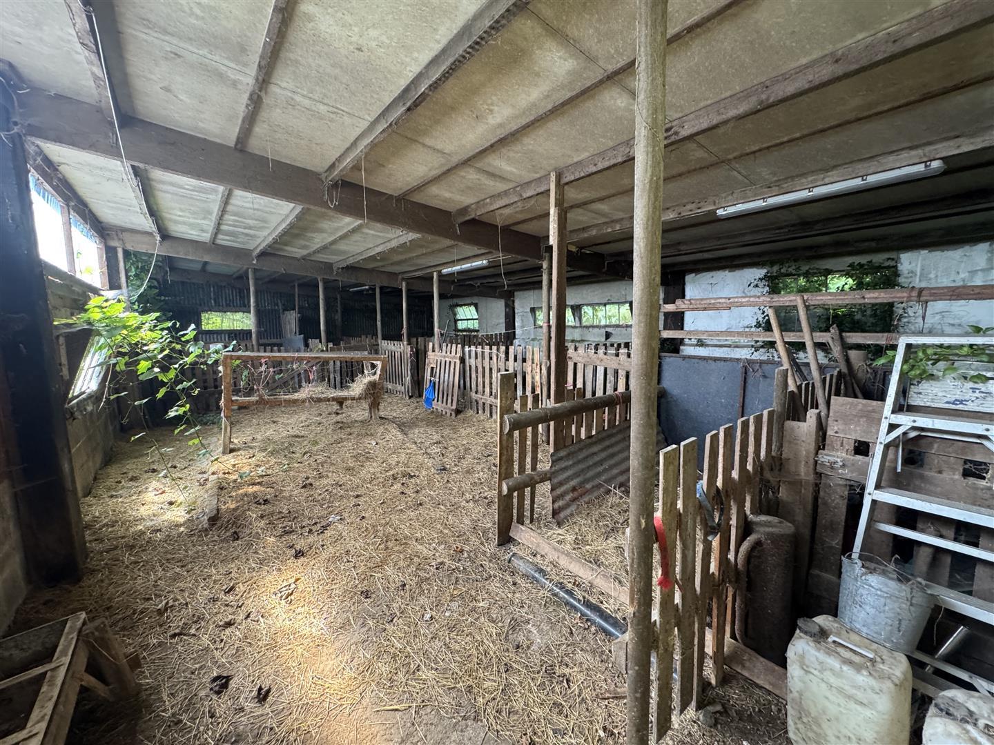 Property Image 3e5d5fa9-4224-4fb1-a647-855b367cf52d